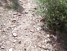 Scandal in Livorno Sex on the Beach