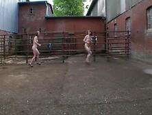 Bdsm-insider - Kapitel 5