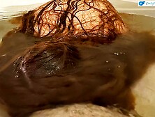 Verified Amateurs - red queen clip