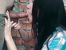 PMV #176 Compilation