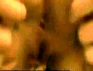 theSandfly Sexbites - Sensational In-Store Service!