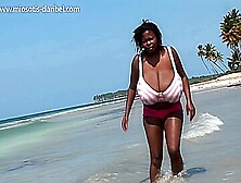 Miosotis-Kalyani Beach Stab Thm2 Prob3