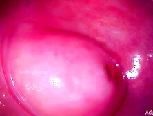 Cervix Throbbing After Climax and Heart Beating 4K