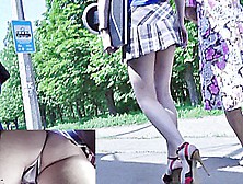 Striped Panty Up Checkered Petticoat