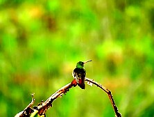 Listen to this peaceful mind relaxing during the time that watching sound. Rain sound.