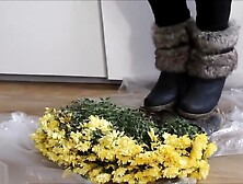 Crushing in black wedges