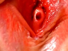 Slender Bimbo Albertas Wildest Fucking Fantasy Comes True!