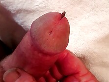 Love worms fucking my cock