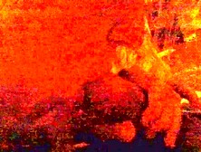 Blowjob cock licking