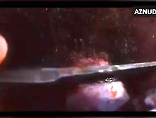 Penectomy and cock destruction Compilation 2