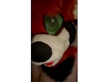 MTF Trans Mursuiter Frots & Bangs Bad Dragon Sex-toy [yiff porn]