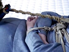 Asian In Business Suit