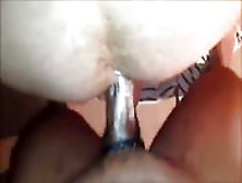 Point Of View Anal Sex