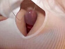 Free Porn Compilation Cum In Pussy Cream