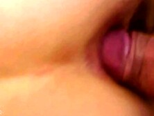 Anal Gaping Frenzy #2 - XXX Parody of Pokemon Go