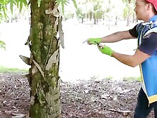 TeenGroupSex. com - Dude catches and fucks three PokÃ©mon cosplayer chicks