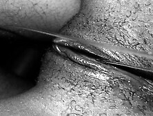 Cheating Girlfriend Ebony College Pussy so Wet (snapchat Edition)