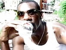 Big ass ebony French whores rides huge black dongs