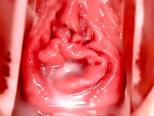 Inside Lauras shaved pussy wit speculum