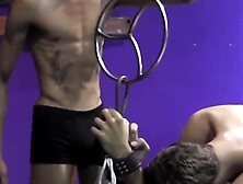 WAXED AND WHIPPED Brutal Bondage Sessions Leave Gay Twink Begging for Mercy!