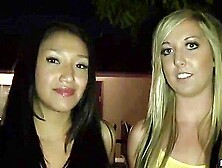 Vicki Chase Playful Surprise - Callie Cobra