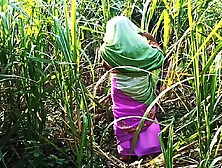 Man's friend went to meet the new daughter-in-law in the sugarcane field.  Daughter-in-law was to fuck by a friend..