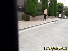 Japanese Lady Public Pees