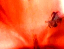 Rhythms In Blue in Gripping Frenzy