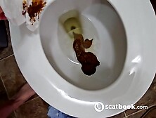 Two Flushes to get This Giant Log Down