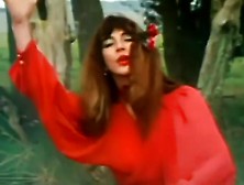 Kate Bush - Wuthering Heights