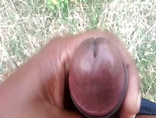 Watch Jangal Main Ko Gf Ko Chodni Gya Tha.  Gf Ko Oska Papa Bola Lia. Muth Mar Ki Ghar Aaya Mai Free Porn Video On Fuxxx. Co