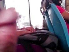 Bus Cock Flash 2 Compilation