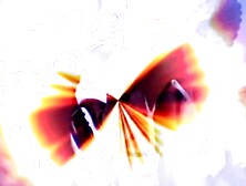 The Devil goes inside Janine and more