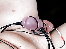 Precum With E-Stim