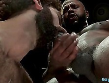 Muscle Bear Interracial With Facial Cum