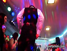 Hot Chicks Get Completely Silly And Undressed At Hardcore Party