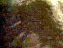 Begierde kennt kein Restriction mehr bis nichts mehr harmlos ist