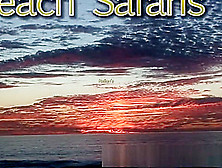 Rafian's Beach Safaris 30