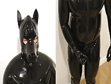 Rubber Puppy Dreams To Cum