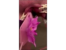 Slave t20w restrained clothespinned and spanked swollen snatch