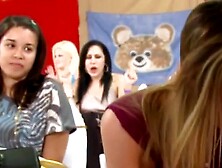 cvbralExperience Unleashing Chaos with the Sexiest Ladies and Hung Superstars