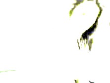 Golden-Haired Web Camera Hotty