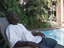 Black cocks fucking white pussies