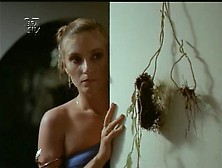 Sandra Graffi In Mulher Tentação (1982)