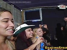 Sex crazed bachelorette honeys take on strippers large weenies