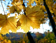 AimeeWavesXXX - Ruining Your Marriage