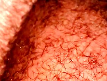 David do Carmo OnlyFans07