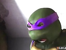 3D Gay Ninja Turtles Fucking Missionary Style