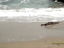 Prowling Panther Beach - nudist group explores oceanside roc