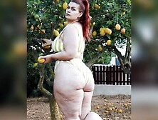 Cellulite Beauties four